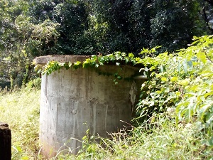 nadan ghadi vadi pani taki E1